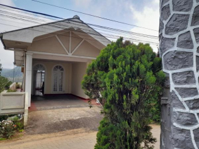 Home Deeno